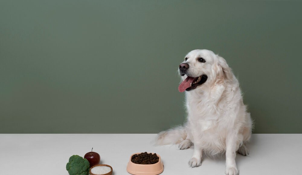 Natural supplements for dogs