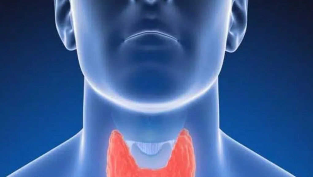 Thyroid Hormone