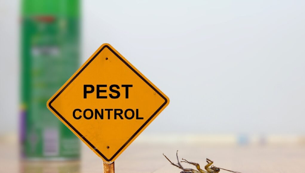 pest control