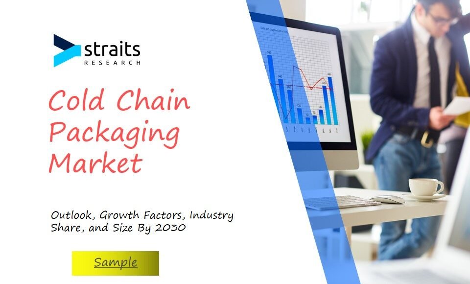 Cold Chain Packaging Market