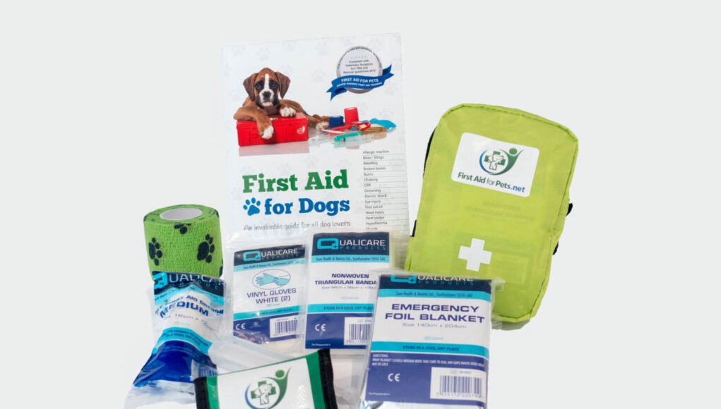 Assembling a Comprehensive Pet First Aid Kit