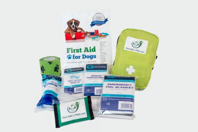 Assembling a Comprehensive Pet First Aid Kit