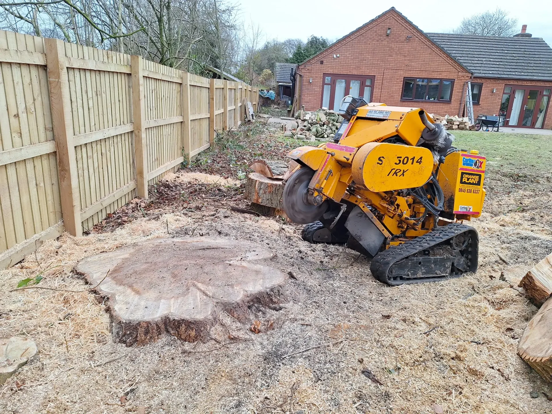 Tree Surgeon Manchester